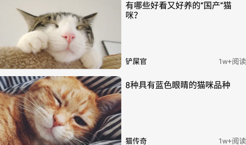 遇见我的猫app