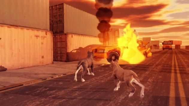 比特犬模拟器Pitbull Dog Simulator