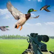 持枪猎鸭Duck Hunting with Gun