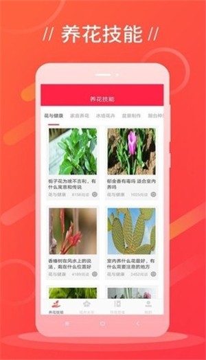 鲜花吧截图