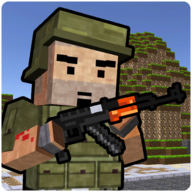 Block Soldier Survival Games(玩具战队射击)