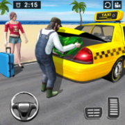 出租车驾驶员模拟器Taxi Simulator