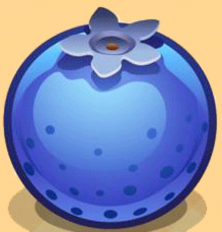 蓝莓资讯app