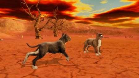 斗牛犬模拟器Pitbull Dog Simulator