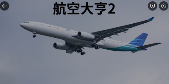 航空大亨2