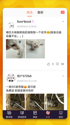 猫语翻译器app截图