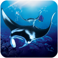 蝠鲼模拟器(The Manta rays)