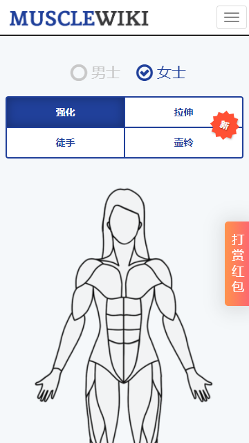 MuscleWiki手机版截图