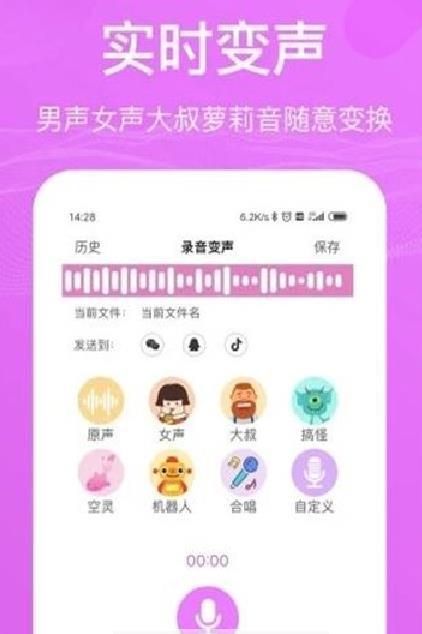 吃鸡专业变声器免费版截图