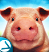 PigSimulator(猪猪模拟器之猪的一生)