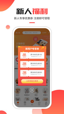 宠小宝-宠物销售