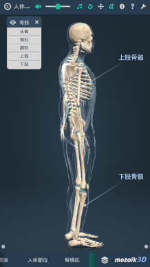 立体全身解剖模拟app