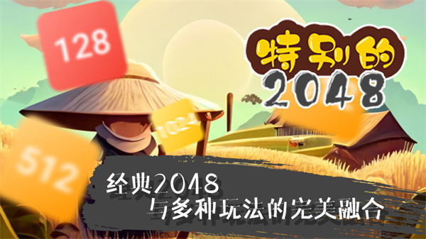 特别的2048