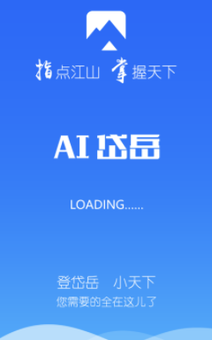 AI岱岳app