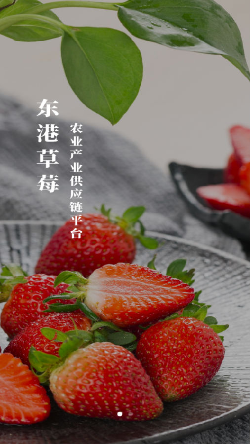 东港草莓App