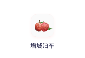 增城泊车app