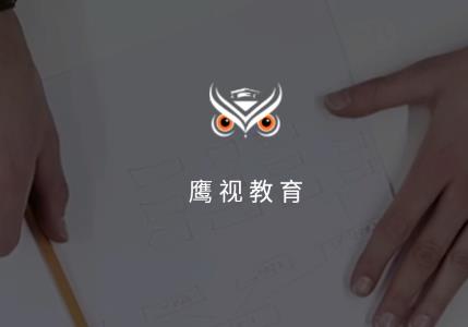 鹰视教育app