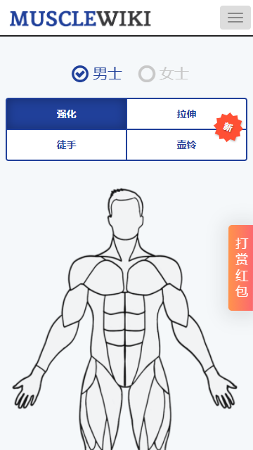 MuscleWiki手机版截图