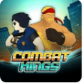 Combat Kings(搏斗之王)