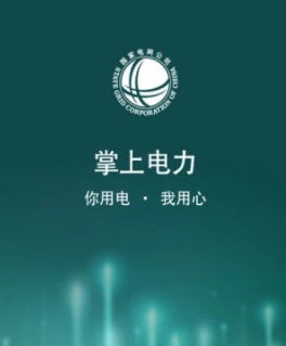 掌上电力2020app