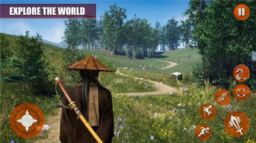 忍者剑格斗冒险Ninja Sword Fighting Adventure截图