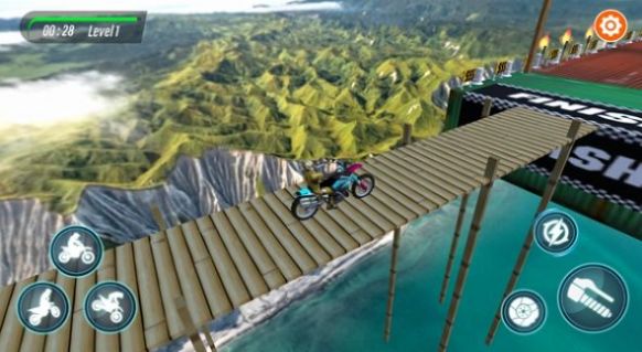 脚踏车特技3D(Bike Stunt 3D)截图