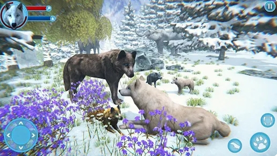 北极狼家族模拟器(Arctic Wolf Family Simulator)