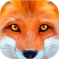 狐狸模拟器Fox Simulator