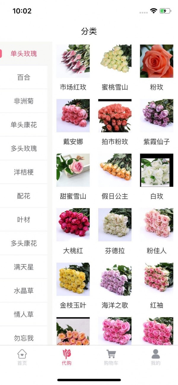 嘉佳花卉鲜花批发一件代发截图