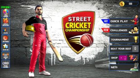 街头板球锦标赛Street Cricket截图