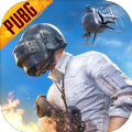 pubg宇宙服玩家自制(PUBG MOBILE)