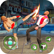 Street Fighter Hero(街头斗士英雄)