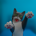 滑稽的猫Funny Cat 3D