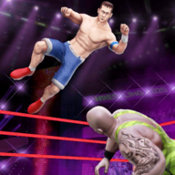 Stylized Wrestling(擂台摔跤冠军)