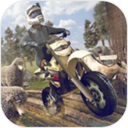 Cross Moto Racing(交叉摩托赛车)