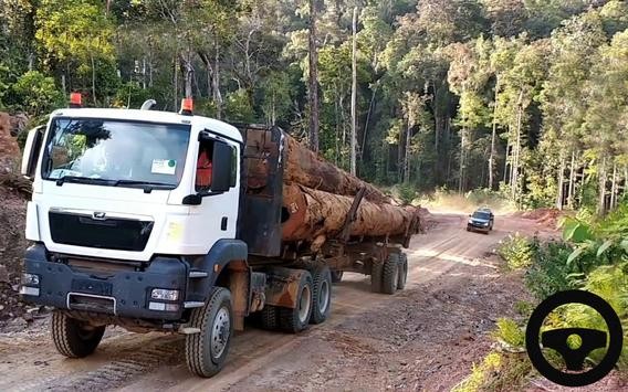 Long Cargo Truck(重型货车模拟器)截图