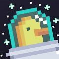 Astro Duck(星空鸭)