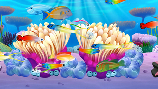 鱼乐园闲置水族馆Fish Paradise