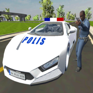 Real Police Car Game(豪华警车2021)