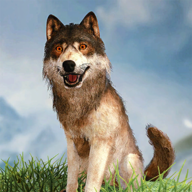 野狼模拟器3DWild Wolf Simulator 3D