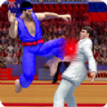 Karate Fighting(双打空手道格斗游戏)