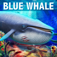 Blue Whale Simulator(蓝鲸模拟器)