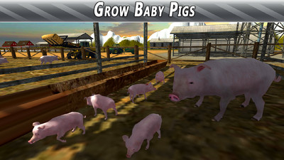 农场猪猪模拟截图