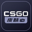 CSGO皮肤宝