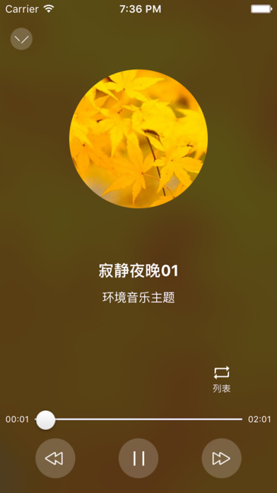 皮皮音乐iOS版下载截图