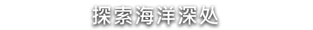 水之城有什么特色内容