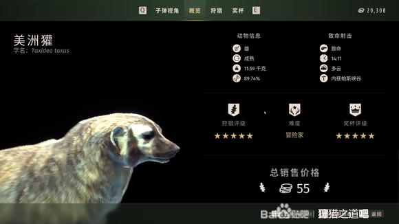 狩猎之道五星美洲獾怎么捕猎