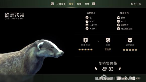 狩猎之道五星欧洲狗獾怎么捕猎