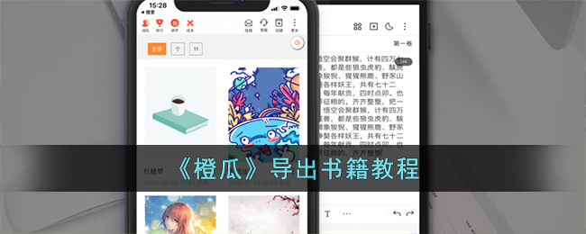 《橙瓜》导出书籍教程（橙瓜导出的书籍在哪看）