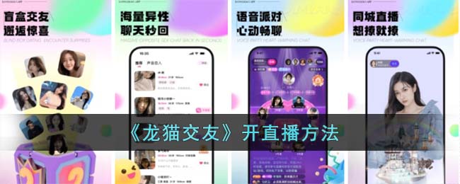 《龙猫交友》开直播方法